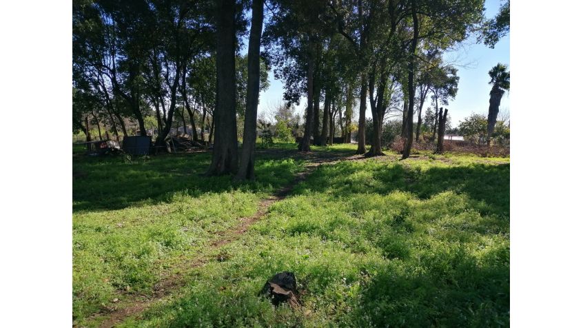 Imagen 2 Amplio terreno en zona de crecimiento