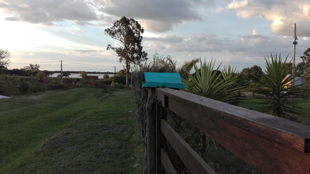 Imagen principal Terrenos en venta