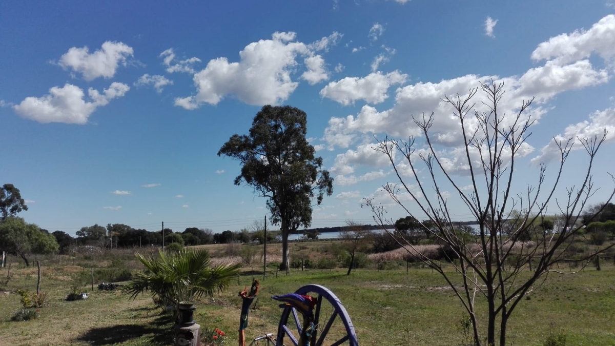 Imagen 3 Terrenos en venta
