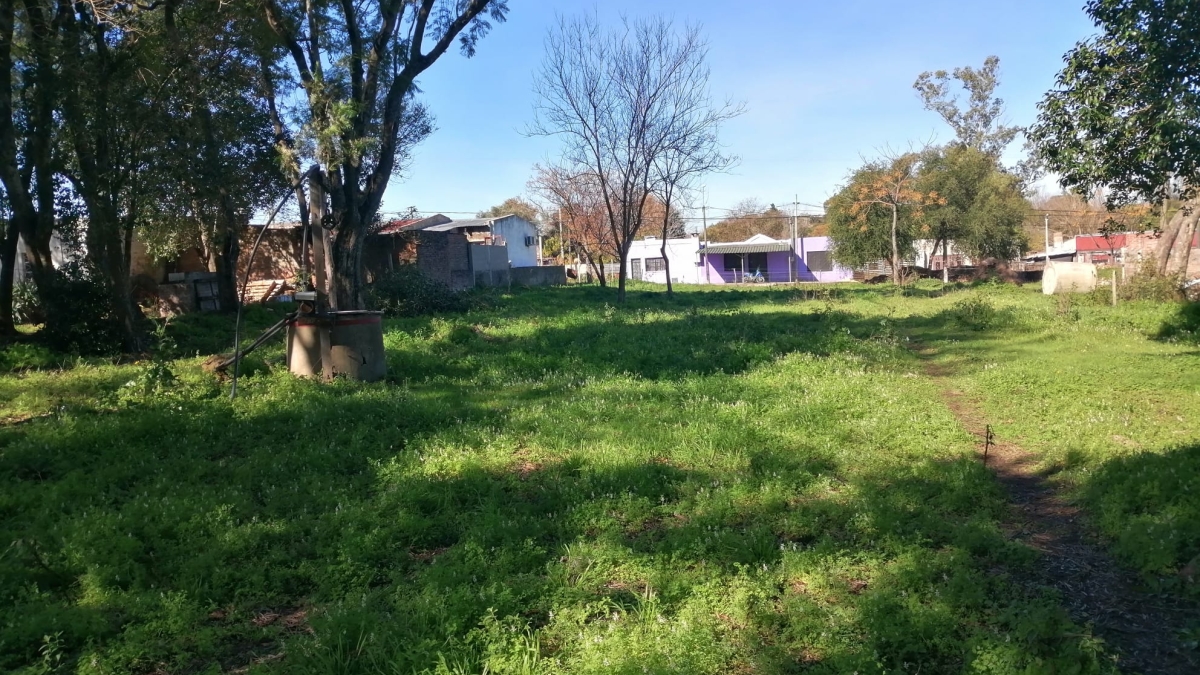 Imagen 3 Amplio terreno en zona de crecimiento