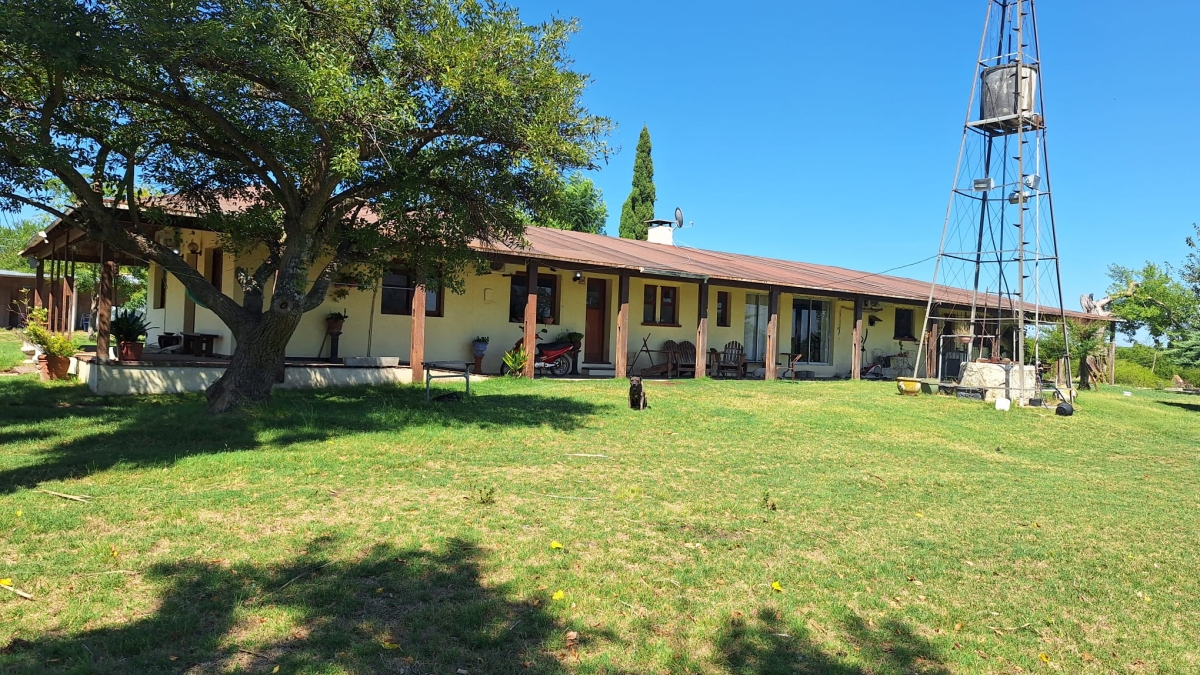 Imagen 2 Chacra de 22 hectáreas