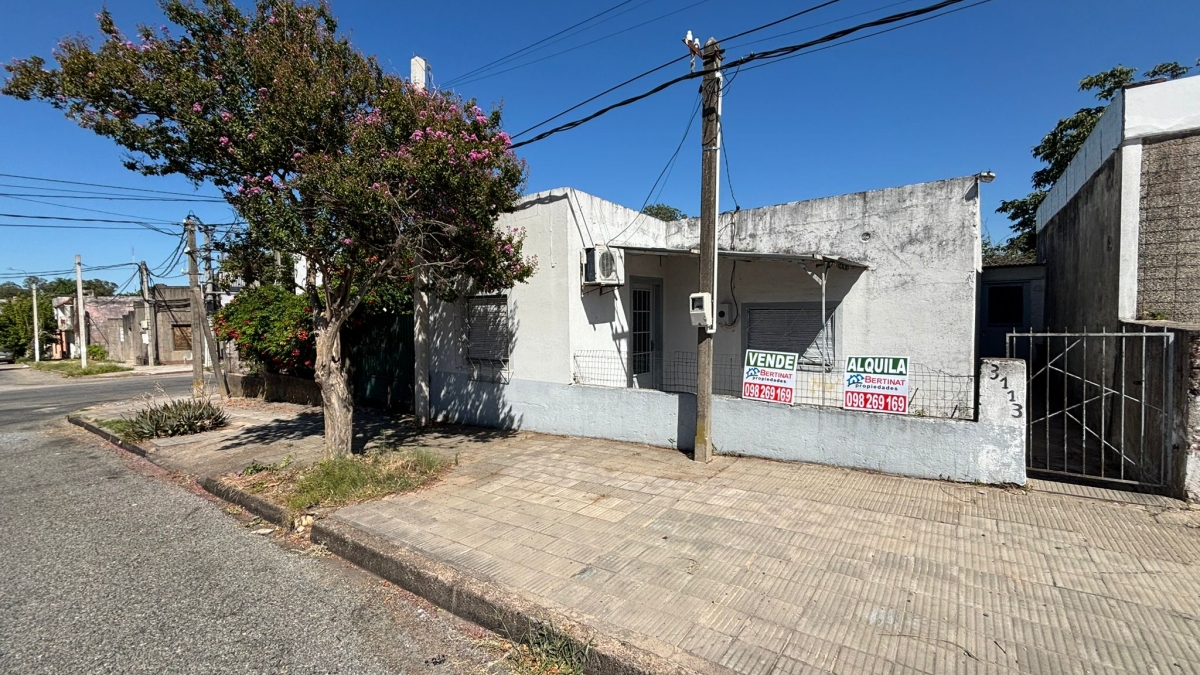 Imagen 3 Se venden 2 viviendas, en un mismo padrón.