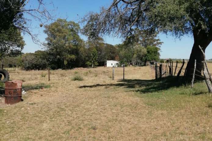 Se alquila terreno/campo sin población para acopio/estacionamiento